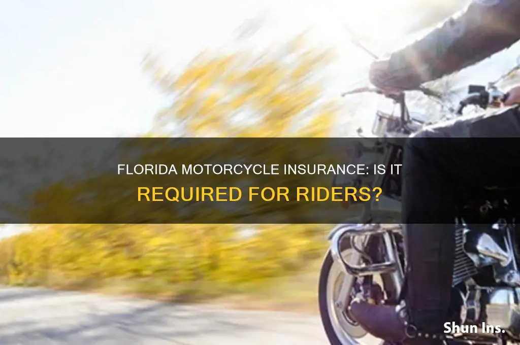 do you have to insure a motorcycle in fl