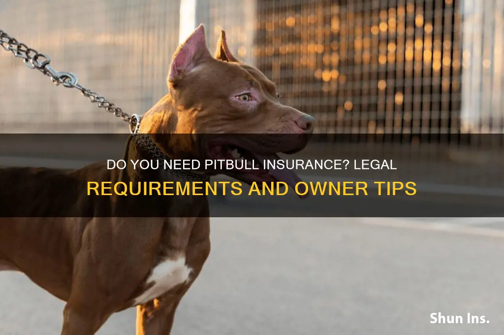 do you have to insure a pitbull