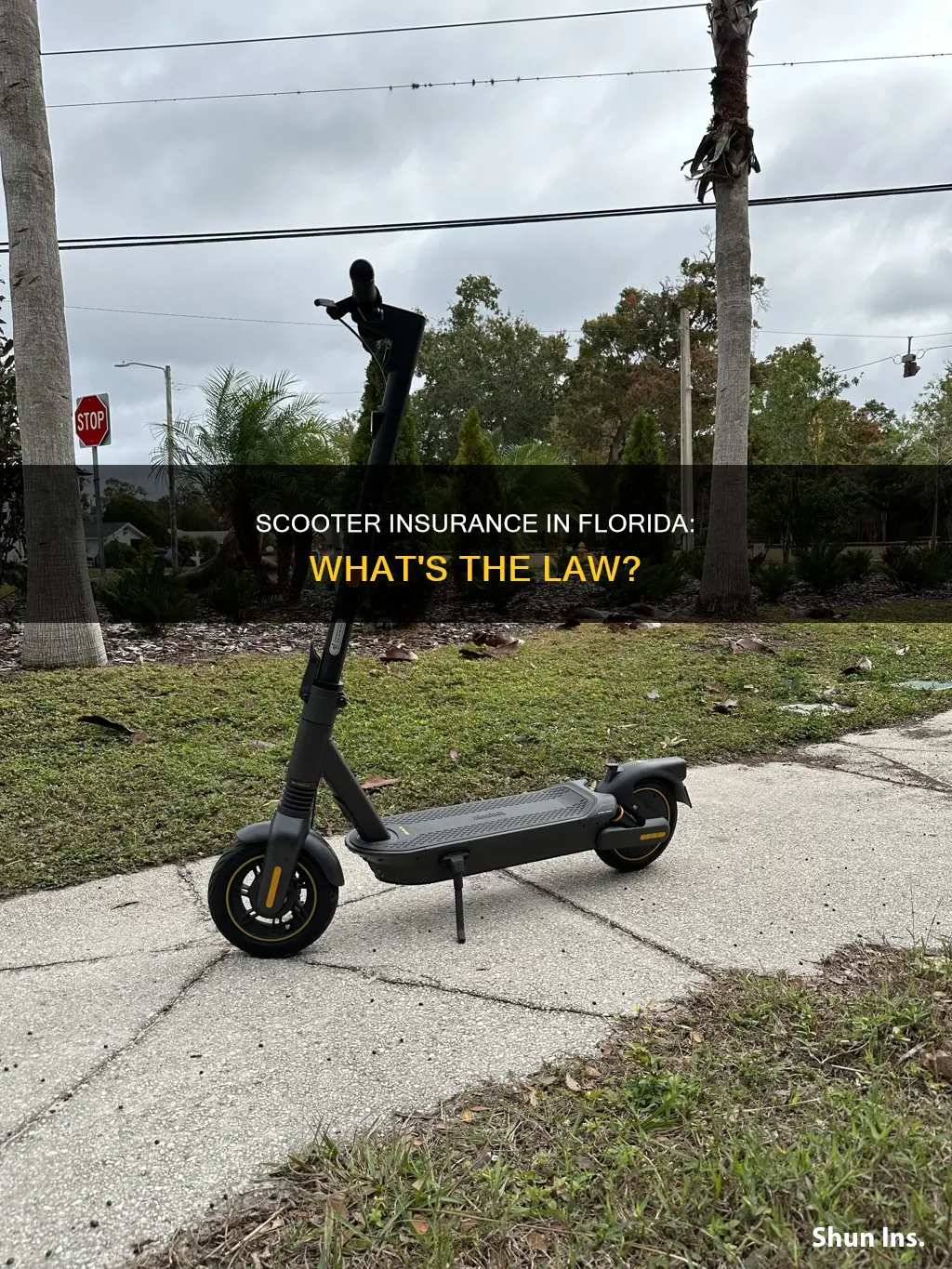 do you have to insure a scooter in Florida