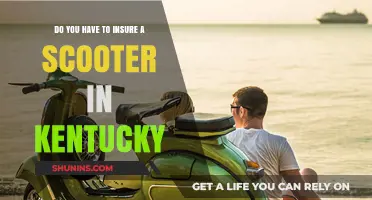 Kentucky Scooter Insurance: Is It Required? What You Need to Know