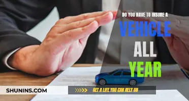 Insuring Your Vehicle: Year-Round Necessity