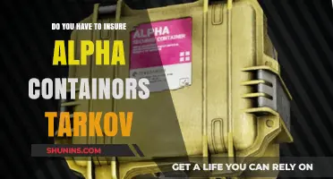 Insuring Alpha Containers in Tarkov: Essential or Optional?