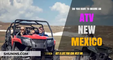 ATV Insurance in New Mexico: Is It Required by Law?