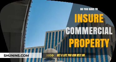 Insuring Commercial Property: Is It a Legal Requirement?