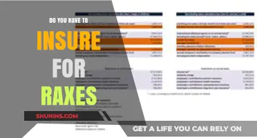 Do You Need Insurance for Taxes? Understanding Your Financial Obligations