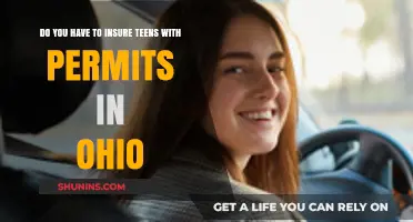 Ohio Teen Permit Insurance: What Parents Need to Know