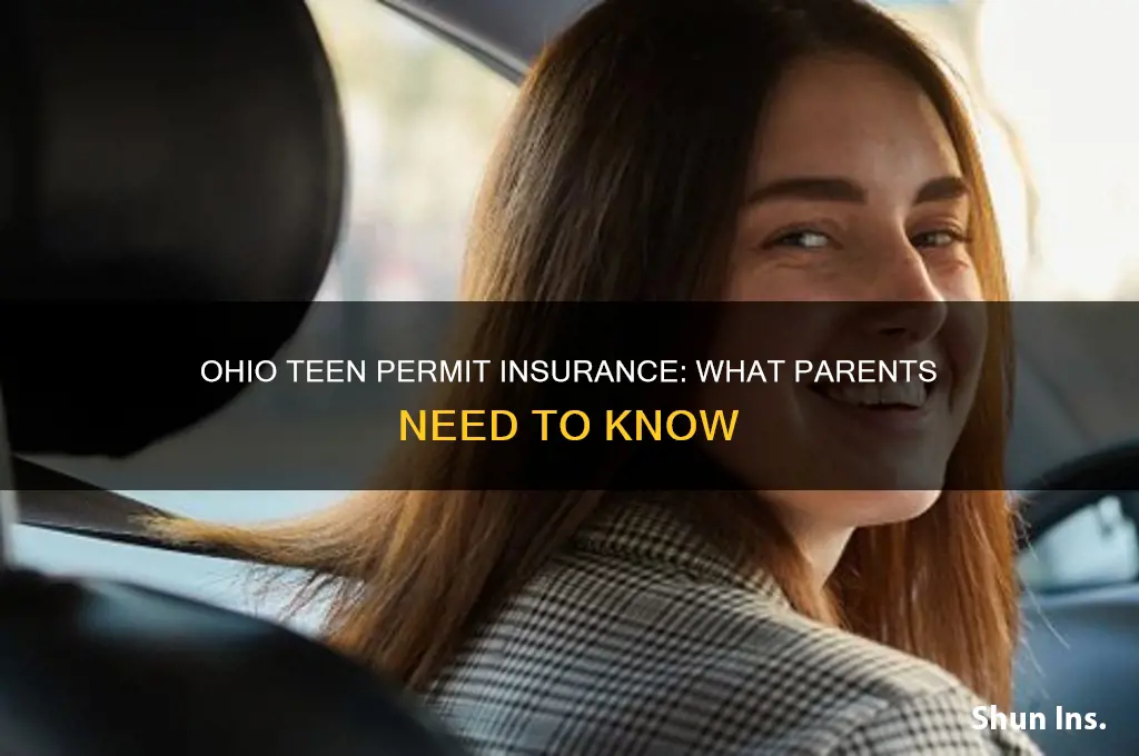 do you have to insure teens with permits in ohio
