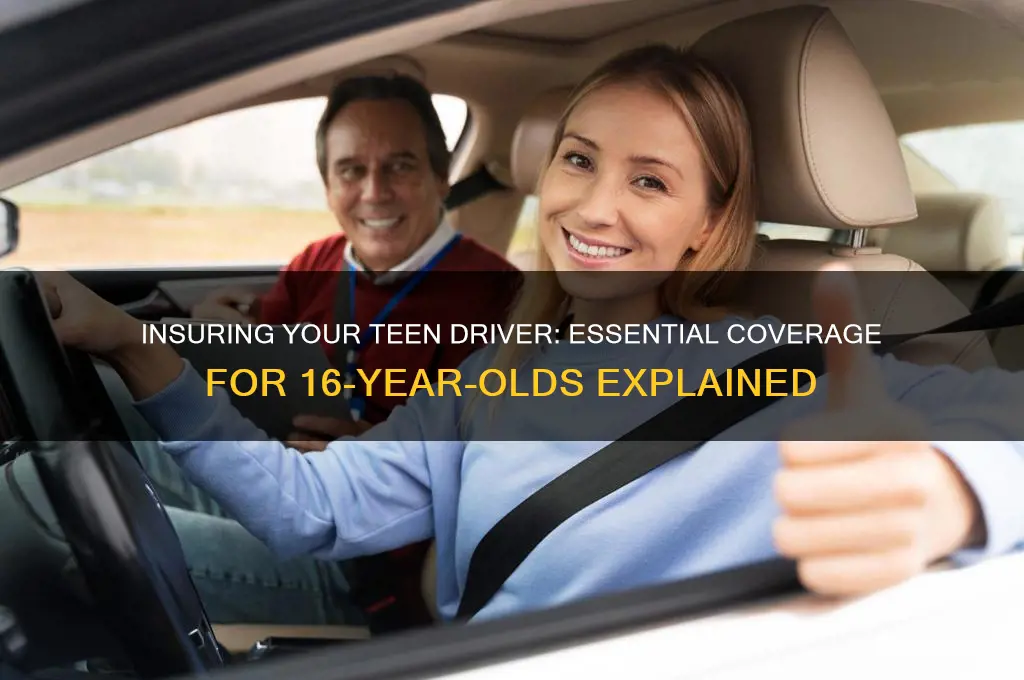 do you have to insure your 16 year old