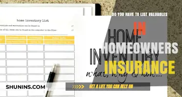 Protect Your Valuables: Home Insurance and Your Possessions