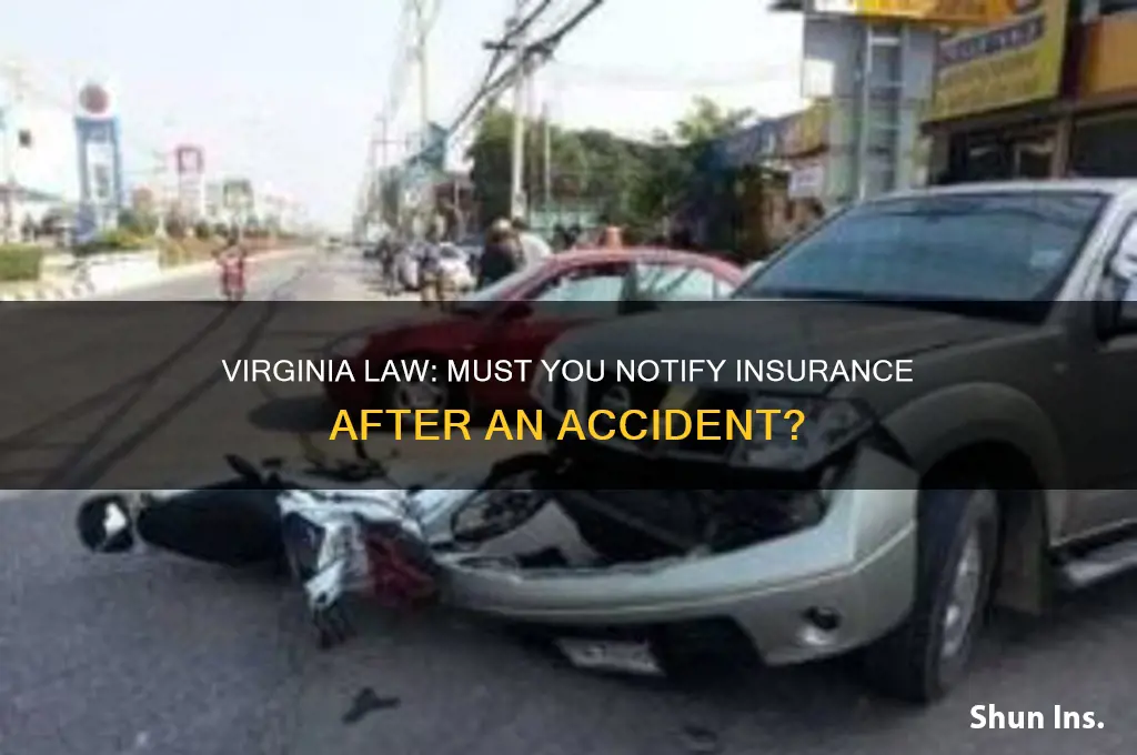 do you have to notify insurance virginia law