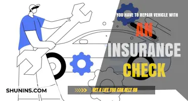 Vehicle Repairs: Insurance Checks and Your Options