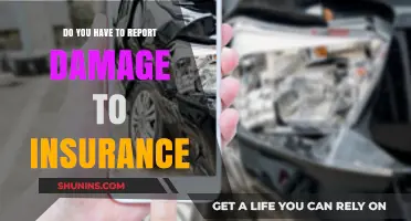 Car Damage: When to Report to Your Insurance