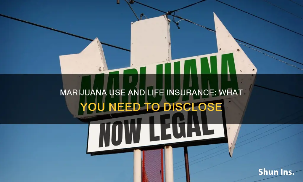 do you have to report marijuana use on life insurance