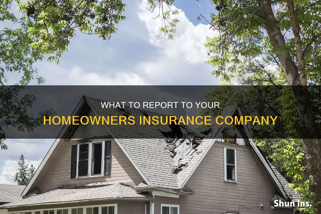 do you have to report things to homeowners insurance