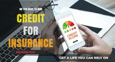 Do You Need a Credit Check for Insurance? Here's What to Know