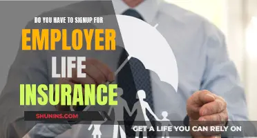 Employer Life Insurance: Sign-up and Benefits Explained