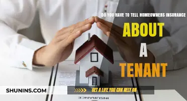 Tenant Troubles: Insuring Peace of Mind for Landlords