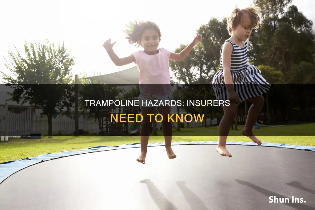 do you have to tell homeowners insurance about a trampoline