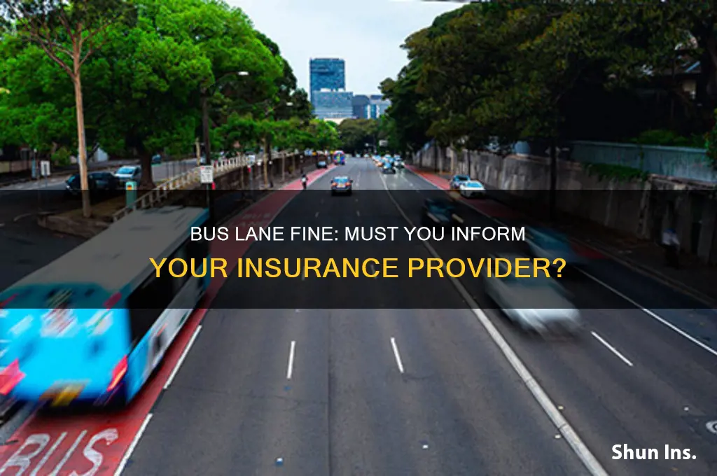 do you have to tell insurance about bus lane fine