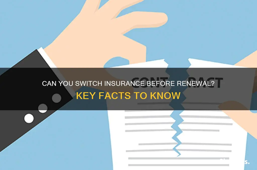 do you have to wait until renewal for insurance