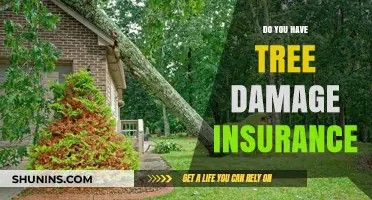 Protect Your Property: Understanding Tree Damage Insurance Coverage Options