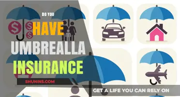 Why Umbrella Insurance is Essential for Comprehensive Financial Protection