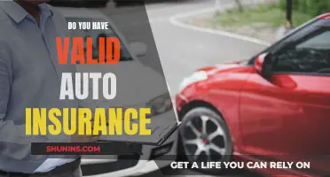 Auto Insurance: Are You Legally Covered?