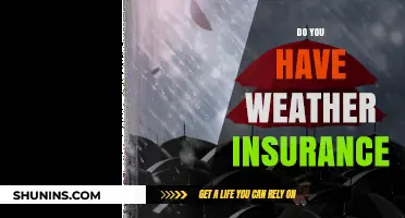 Weather Insurance: Protecting Your Assets from Unpredictable Climate Risks