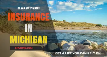 Michigan Insurance Requirements: What You Need to Know