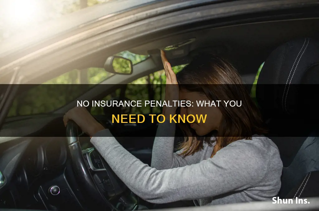 do you het penalized for not having insurence