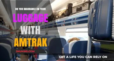 Should You Insure Your Luggage When Traveling with Amtrak?