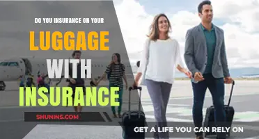 Should You Insure Your Luggage? Travel Insurance Tips for Peace of Mind