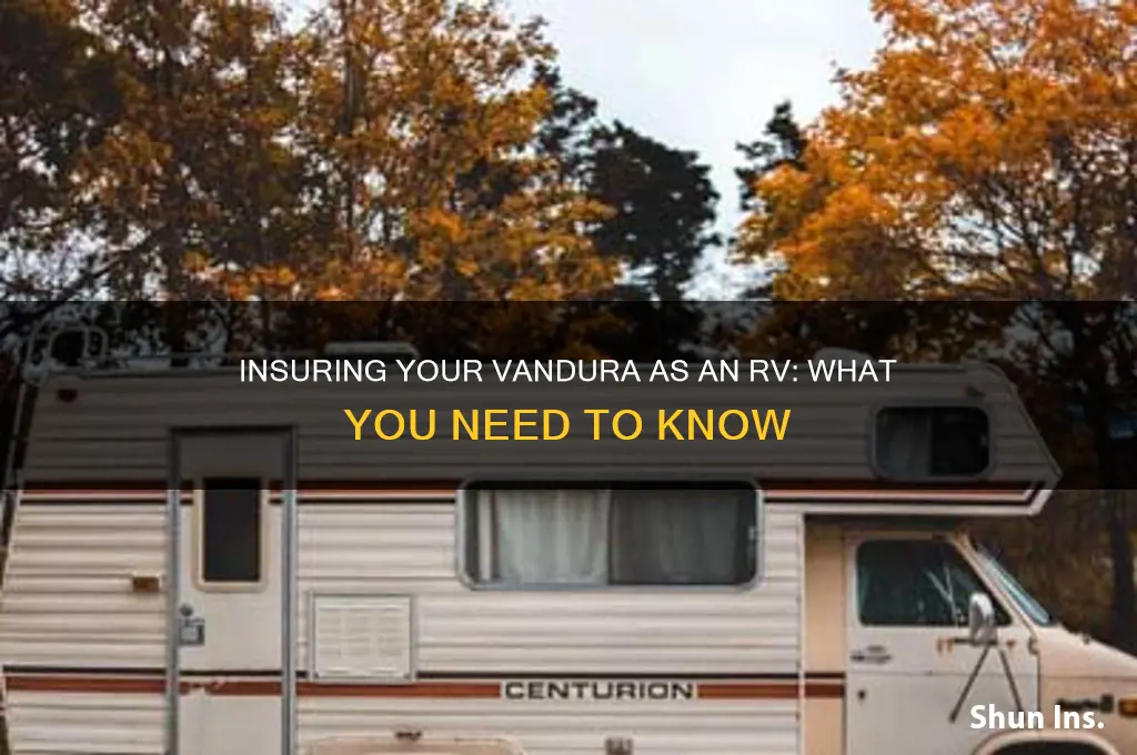 do you insure vandura as an rv