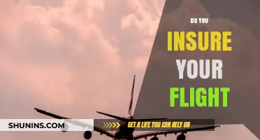 Should You Insure Your Flight? Benefits, Costs, and What to Know