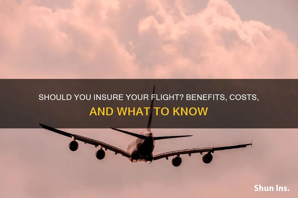 do you insure your flight