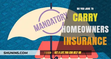 Why Homeowners Insurance is a Must-Have