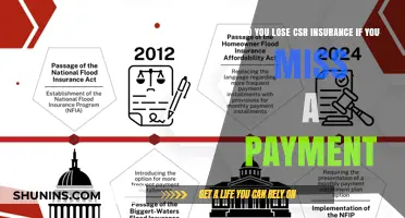 Can Missed Payments Affect Your CSR Insurance Status?