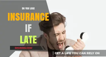Late Payments and Insurance: What Happens When You Miss Deadlines?