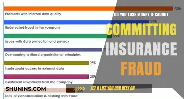 Insurance Fraud: Is It a Costly Mistake?