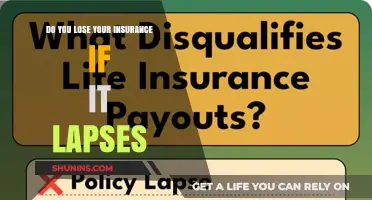 What Happens to Your Insurance Coverage When Your Policy Lapses?