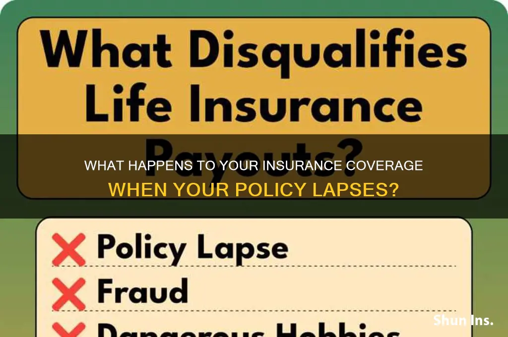 do you lose your insurance if it lapses