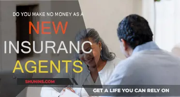 Insurance Agents: How to Overcome Initial Financial Struggles