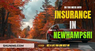 Auto Insurance in New Hampshire: What You Need to Know