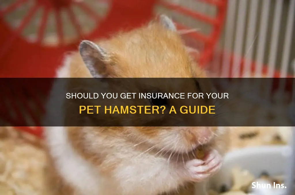 do you nees insurance for hamsters