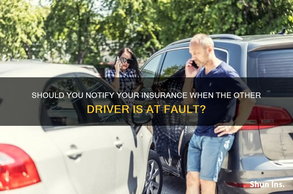 do you notify your insurance if someone at fault