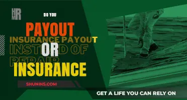 Payout vs. Insurance: Which Financial Safety Net Fits Your Needs?