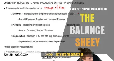 Prepaid Insurance on the Balance Sheet: Accounting Treatment Explained