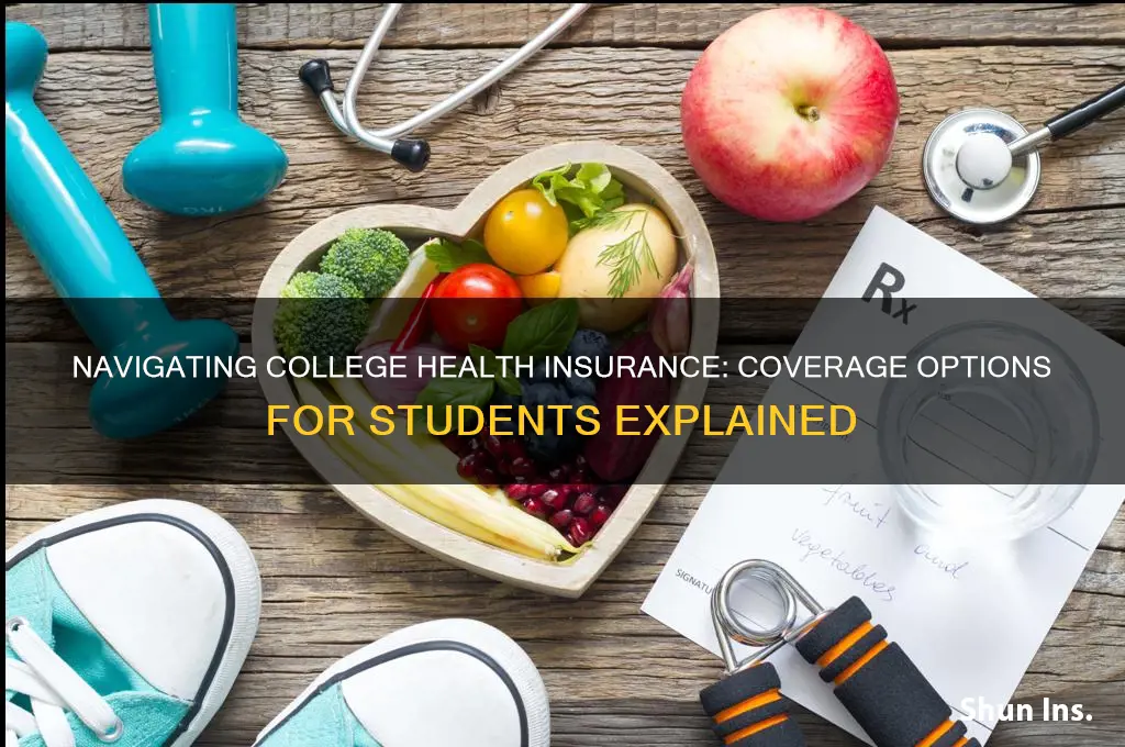 do you recieve health insurance while in college
