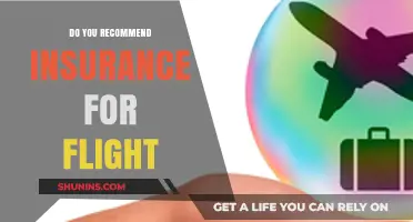 Should You Get Travel Insurance for Flights? Pros, Cons, and Tips