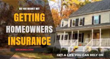 Homeowners Insurance: A Wise Investment or Regrettable Expense?